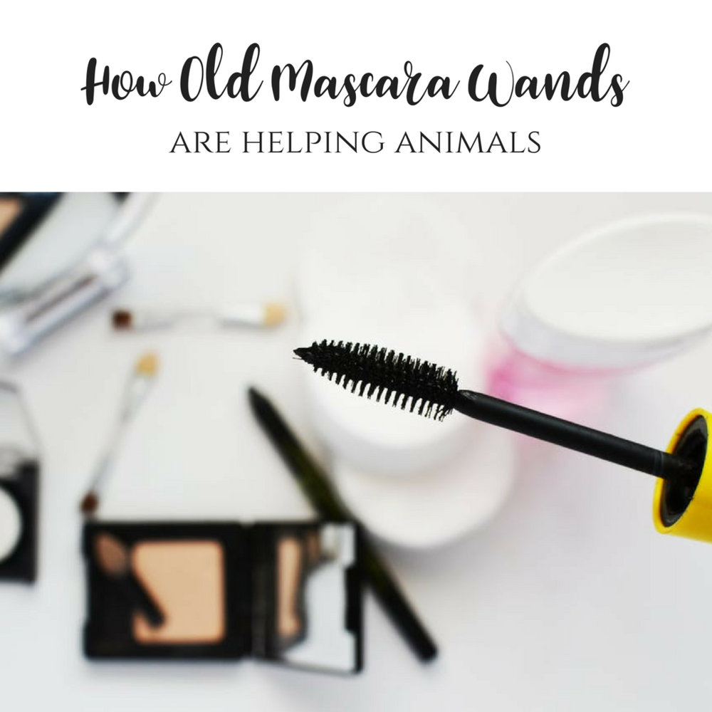 How Old Mascara Wands Are Helping Animals