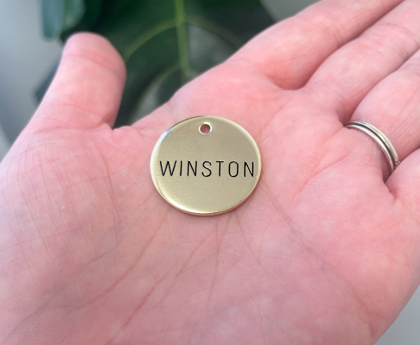 Personalized Dog Tag - No Design Engraved Dog Tag - Cat ID Tag - Dog Collar Tag - Custom Dog Tag - Pet ID Tag - Pet Name Tag - Simple Dog Tag - Dog Tag - Dog Gear - Dog Accessories - Pet Accessories - Minimalist Dog Tag - Minimalist Fashion - Simple Pet ID Tag