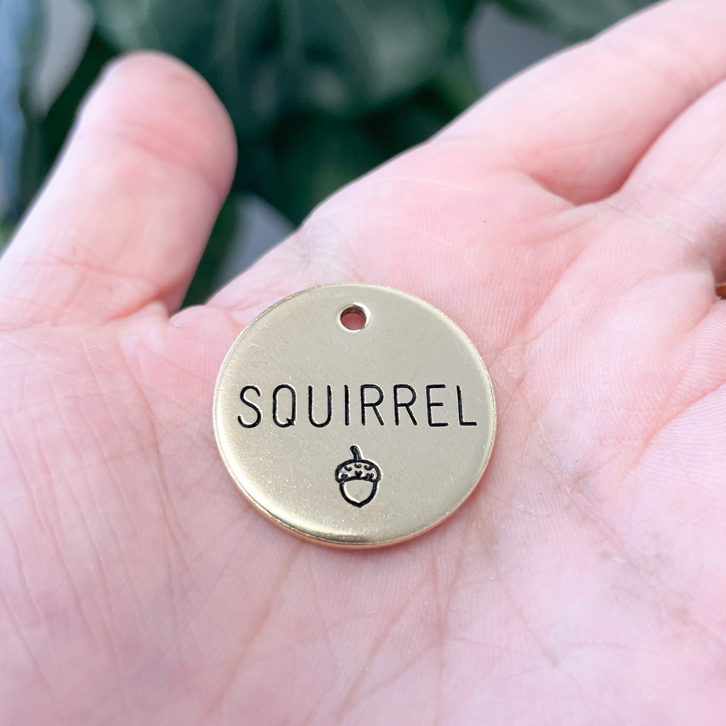 Personalized Dog Tag - Acorn Design Engraved Dog Tag - Squirrel Design Tag - Cat ID Tag - Dog Collar Tag - Custom Dog Tag - Personalized Tag - Pet ID Tag - Pet Name Tag - Nature Themed Dog Tag