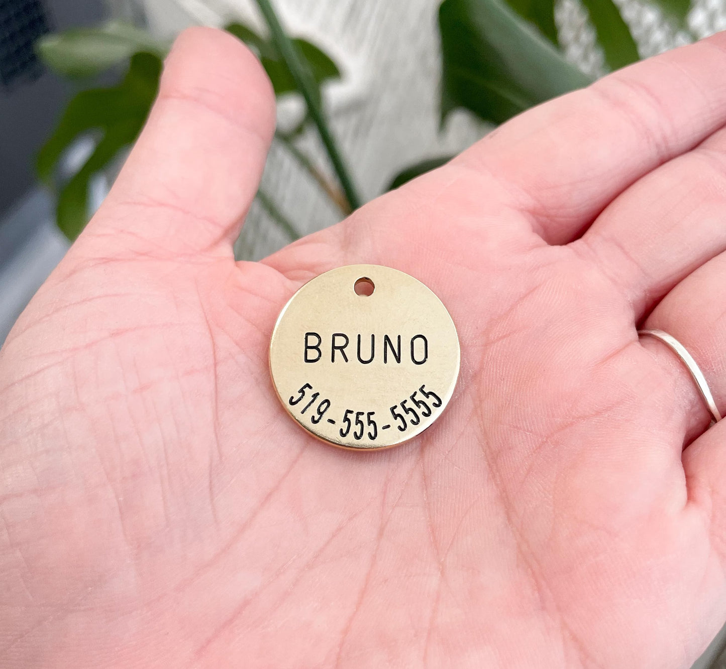 Personalized Dog Tag - number
- Design Engraved Dog Tag - Cat ID Tag - Dog Collar Tag - Custom Dog Tag - Pet ID Tag - Pet Name Tag - Dog Tag - Dog Gear - Dog - Design - Accessories - Pet Accessories