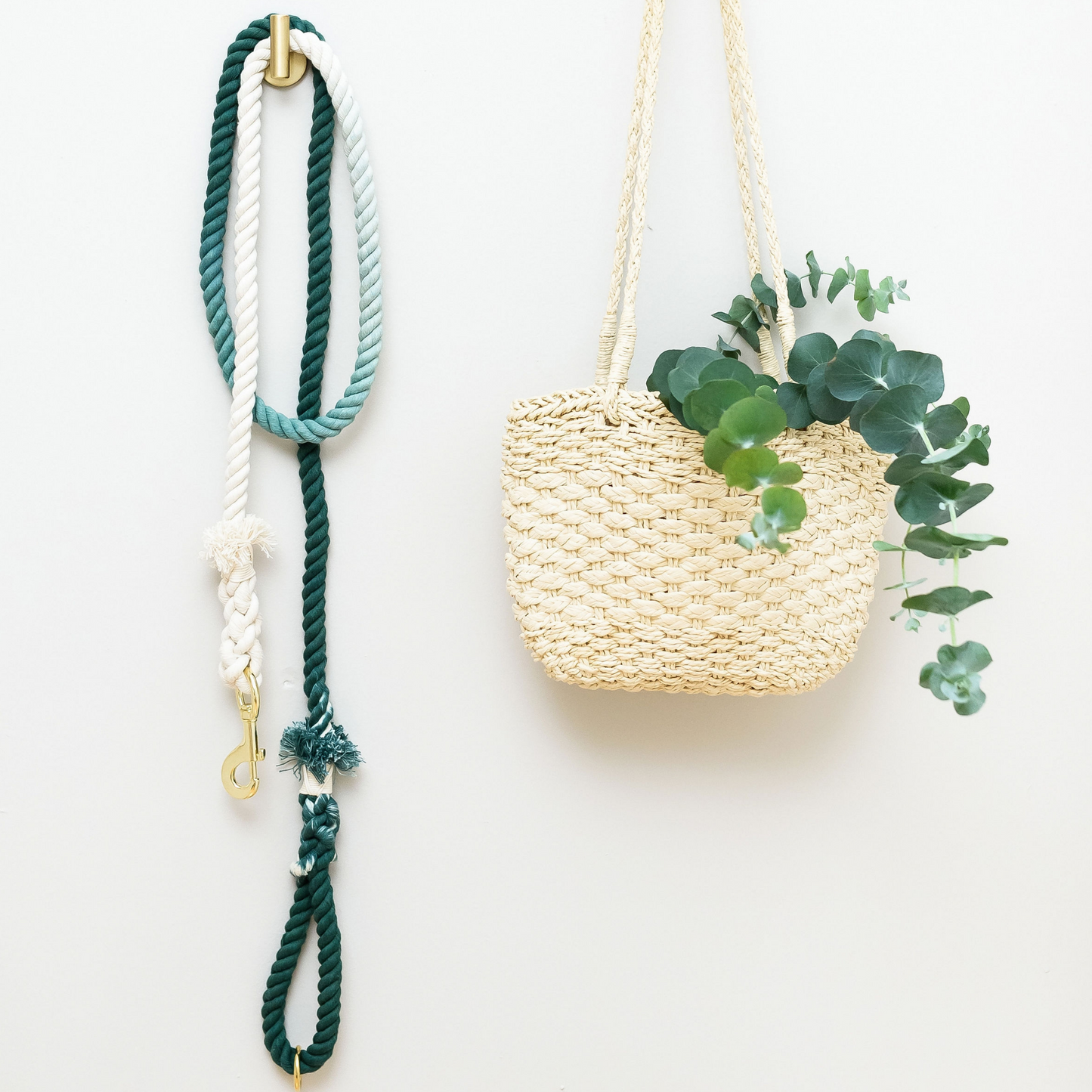 Ombré Green Cotton Rope Leash - Cute Leash - Dog Gift - Gift for Her - Pet Birthday Gift - Dog Accessory - Dog Lover Gift - Wedding Leash
