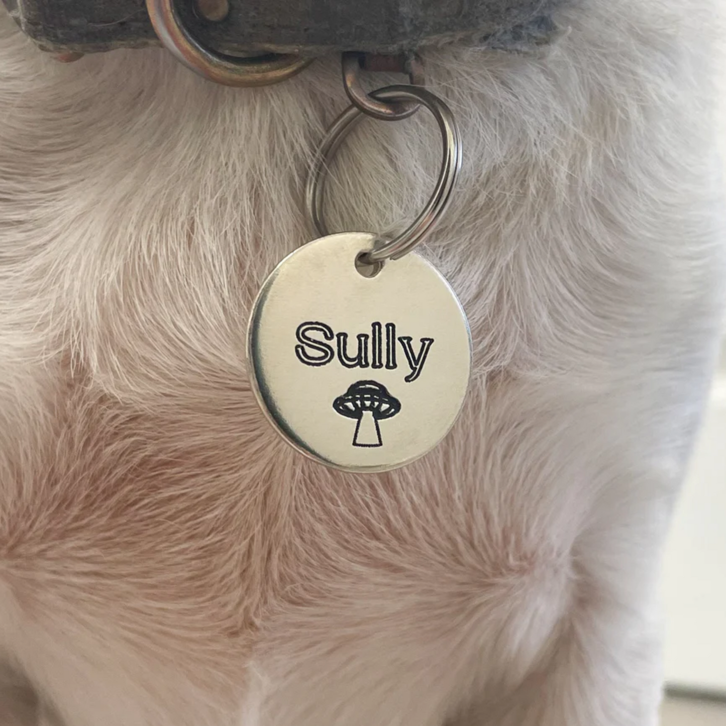 UFO Design Engraved Dog Tag - Spaceship Tag - Cat ID Tag - Dog Collar Tag - Custom Dog Tag - Personalized Tag - Pet ID Tag - Pet Name Tag - Space Themed Dog Tag - Alien Dog Tag