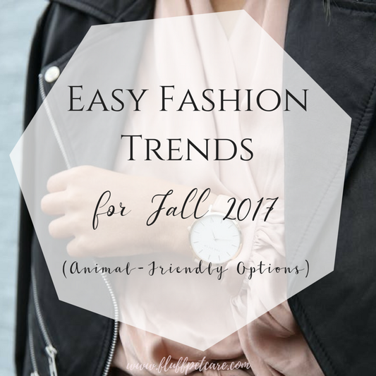 Easy Fashion Trends for Fall 2017 (Animal-Friendly Options)