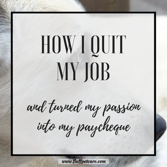 How I Quit My Job and Made My Passion My Paycheque