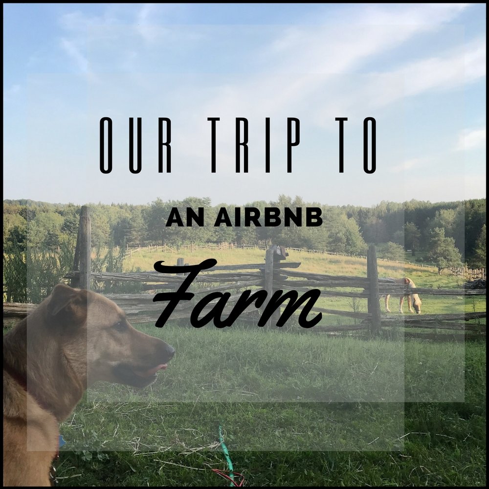 Our Trip to an Airbnb Farm