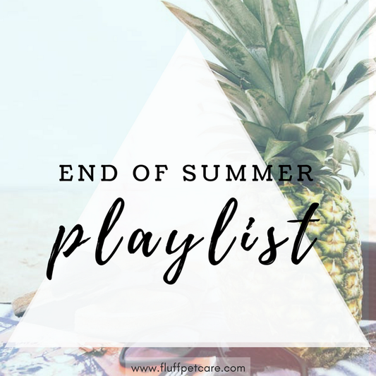 End of Summer Playlist