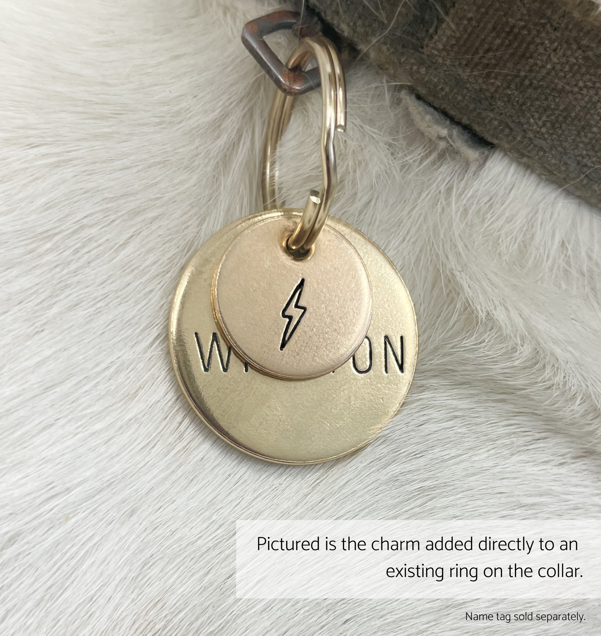 Personalized Dog Collar Charm - Engraved Design - Dog Collar Charm - Lightning Bolt - Nature - Storm 