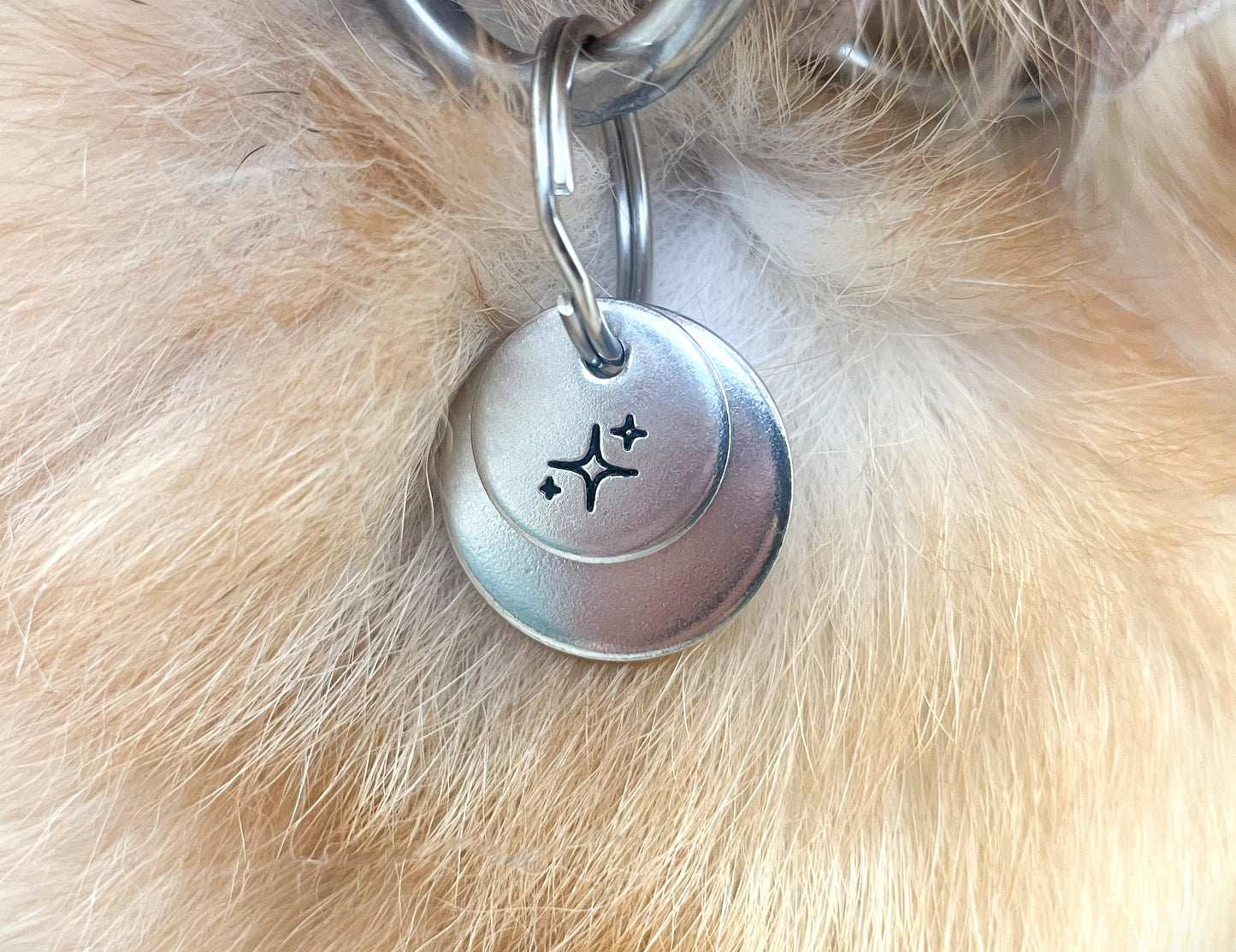 Personalized Dog Collar Charm - Engraved Design - Dog Collar Charm - Nature - Food - Fruit