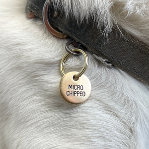 Microchipped Engraved Collar Charm