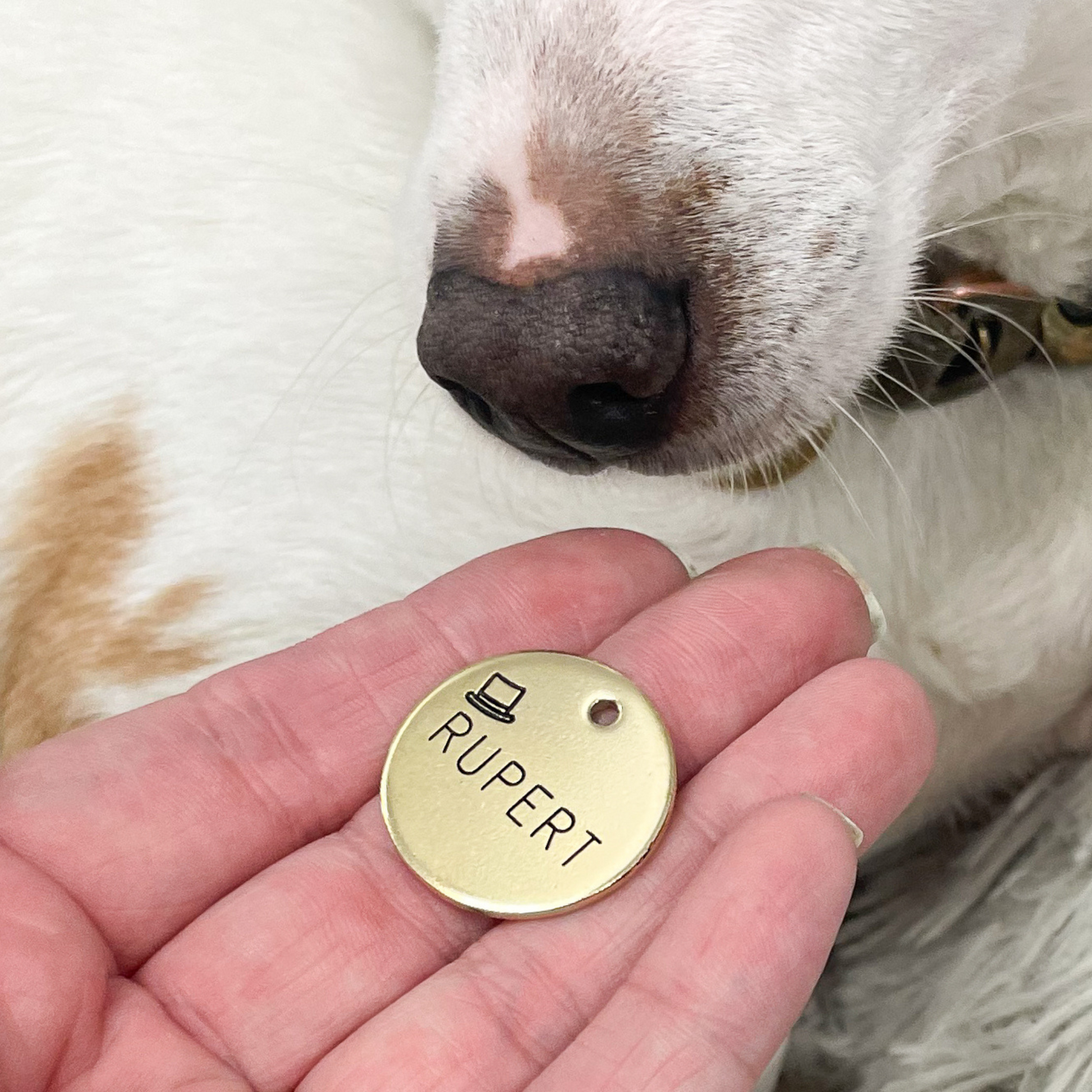 Top Hat Design Engraved Pet ID Tag Fluff Pet Care