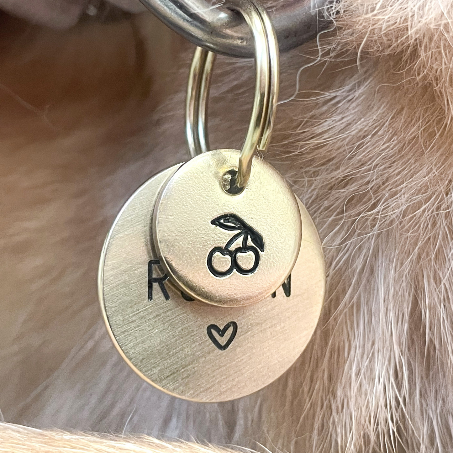 Personalized Dog Collar Charm - Engraved Design - Dog Collar Charm - Nature - Food - Fruit