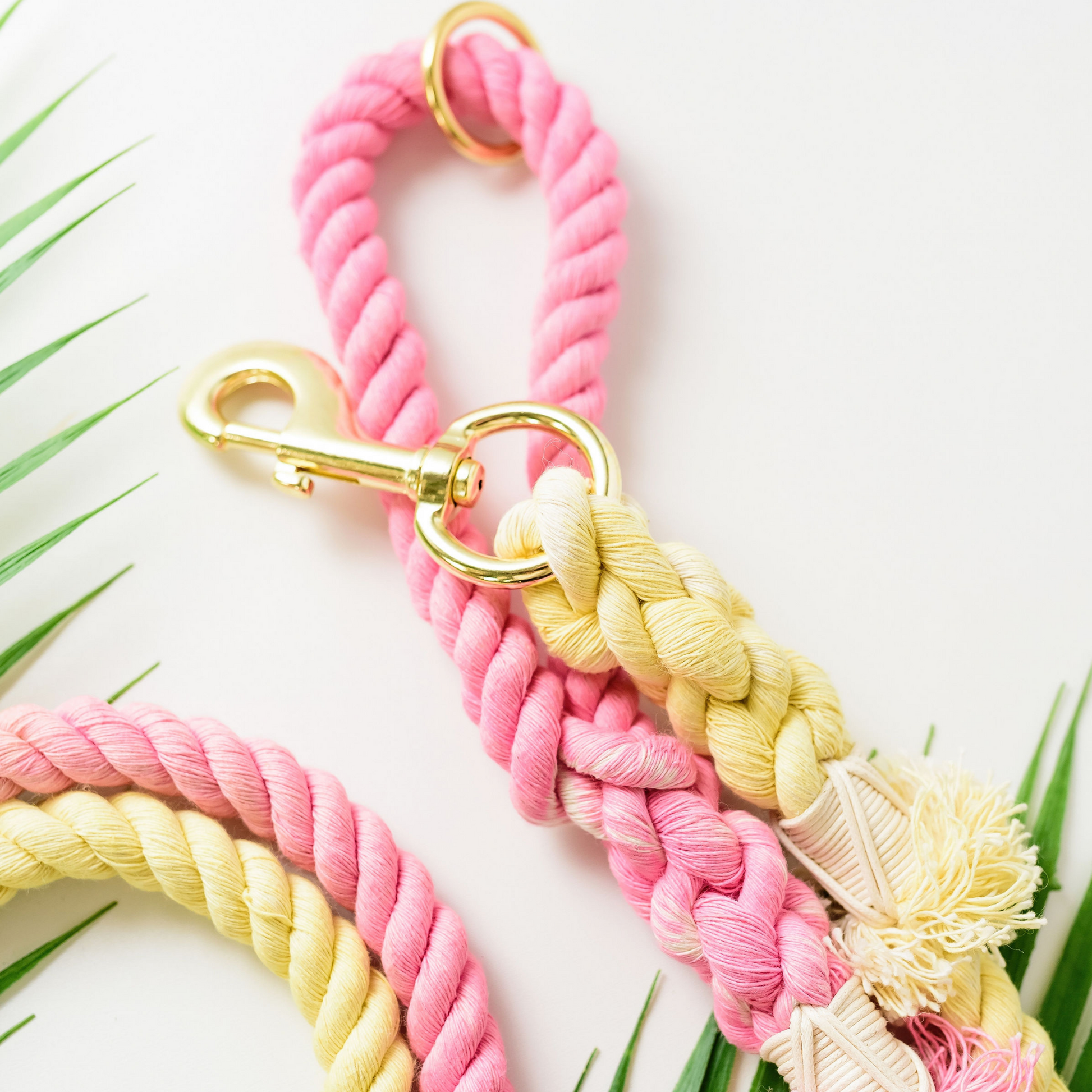 Pink Lemonade Ombr Pink and Yellow Cotton Rope Leash Fluff
