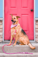 Ombré Purple and Coral Cotton Rope Leash - Dog Gift - Gift for Her - Pet Birthday Gift - Dog Accessory - Dog Lover Gift - Wedding Leash