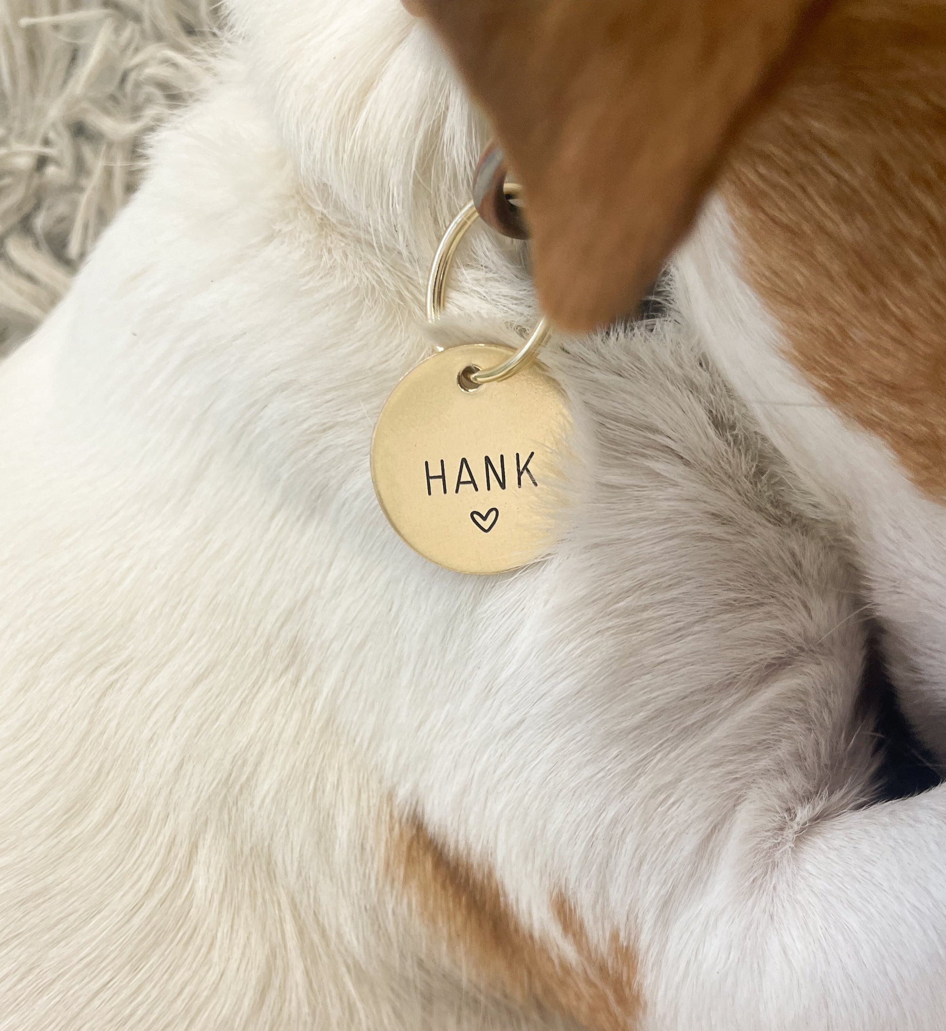 Personalized Dog Tag - Heart Design Engraved Dog Tag - Cat ID Tag - Dog Collar Tag - Custom Dog Tag - Pet ID Tag - Pet Name Tag - Love Dog Tag - Heart Dog Tag - Dog Gear - Dog Accessories - Pet Accessories