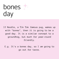 No Bones Day - Bones Day - Hand Stamped Dog Collar Charm - Dog Tag - Cat Collar Charm - Gift for Dog Lover - Gift for Cat Lover - Funny Gift