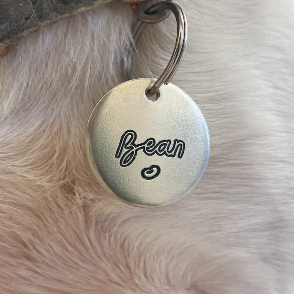 Personalized Dog Tag - Bean Design Engraved Dog Tag - Cat ID Tag - Dog Collar Tag - Custom Dog Tag - Personalized Tag - Pet ID Tag - Pet Name Tag - Cat Collar Tag - Bean Dog Tag - Jelly Bean Dog Tag - Dog Gear - Dog Accessories - Pet Accessories