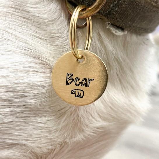 Personalized Dog Tag - Bear Design Engraved Dog Tag - Cat ID Tag - Dog Collar Tag - Custom Dog Tag - Pet ID Tag - Pet Name Tag - Bear Dog Tag - Dog Gear - Dog Accessories - Pet Accessories