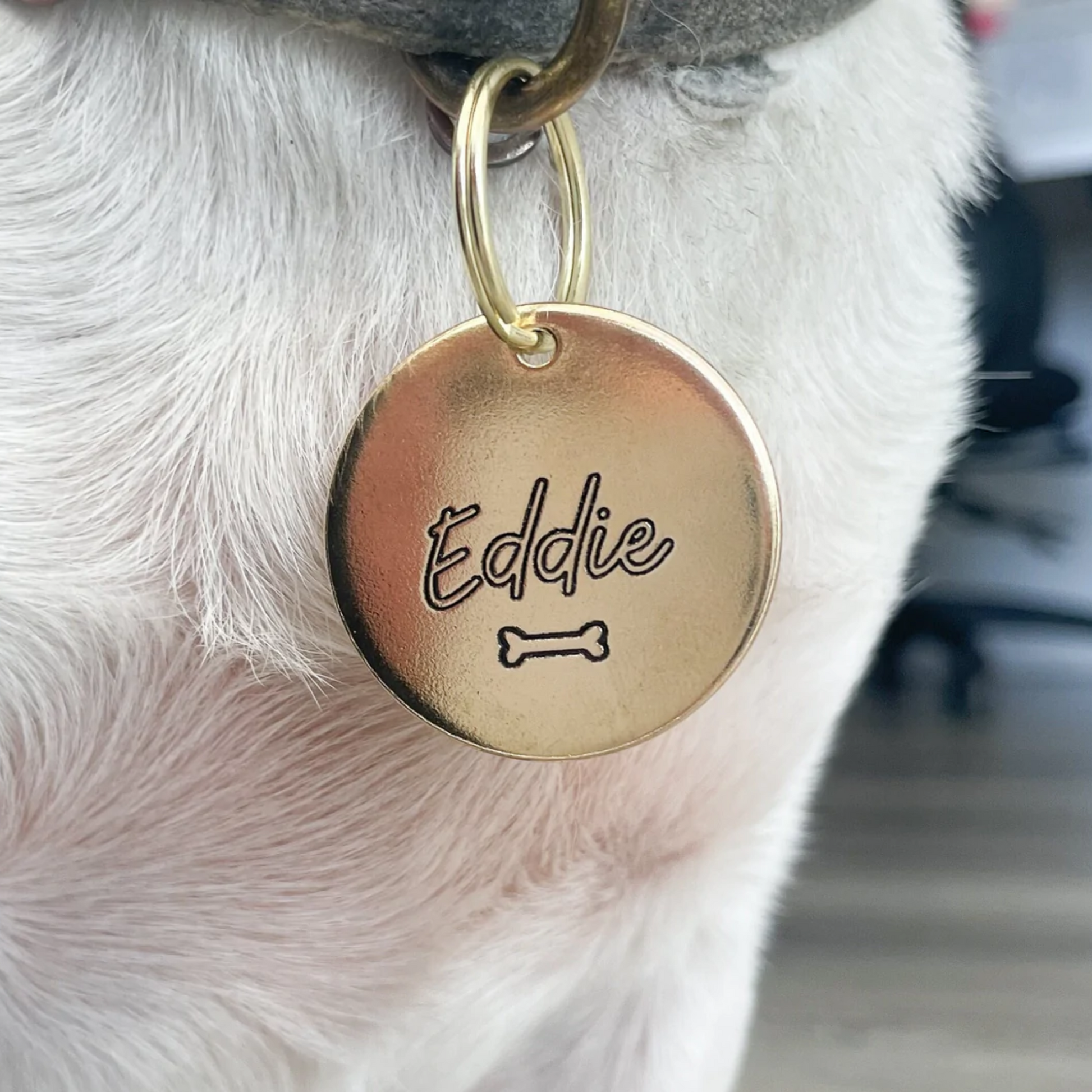 Personalized Dog Tag - Dog Bone Dog Tag Engraved - Cat ID Tag - Dog Collar Tag - Custom Dog Tag - Pet ID Tag - Pet Name Tag - Microchipped - Dog Gear - Pet name on front with a bone design. Your phone number will be on the back.