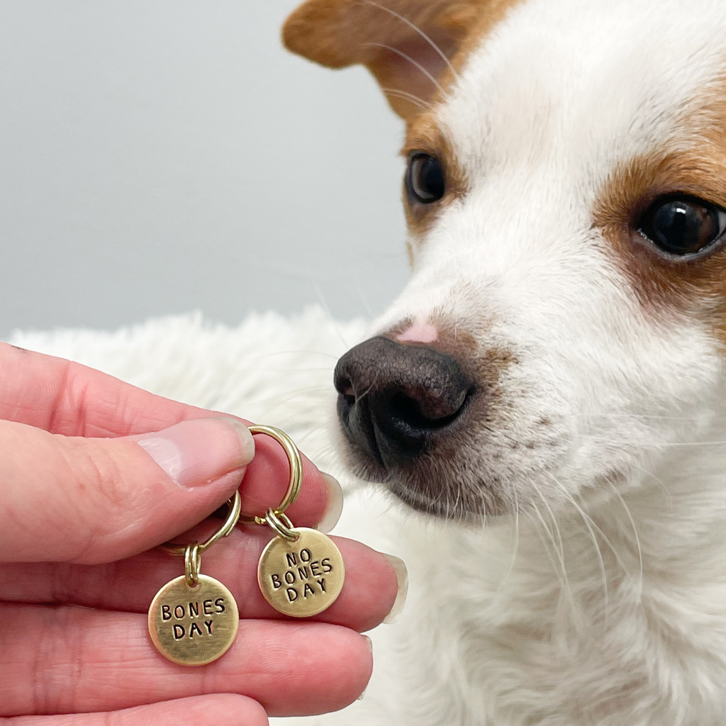 No Bones Day - Bones Day - Hand Stamped Dog Collar Charm - Dog Tag - Cat Collar Charm - Gift for Dog Lover - Gift for Cat Lover - Funny Gift