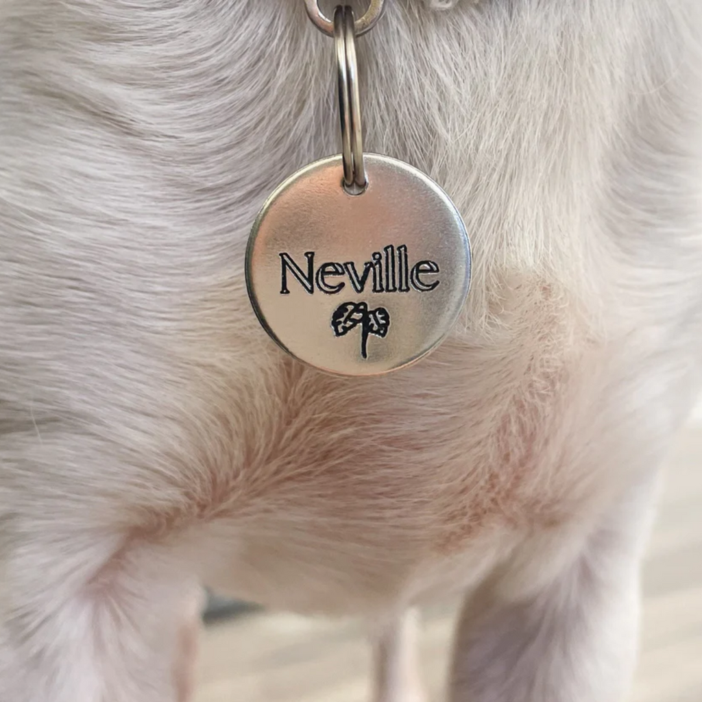 Personalized Dog Tag - Monstera Leaf Design Engraved Dog Tag - Cat ID Tag - Dog Collar Tag - Custom Dog Tag - Pet ID Tag - Pet Name Tag - Plant Dog Tag - Nature Themed Dog Tag - Dog Gear - Dog Accessories - Pet Accessories
