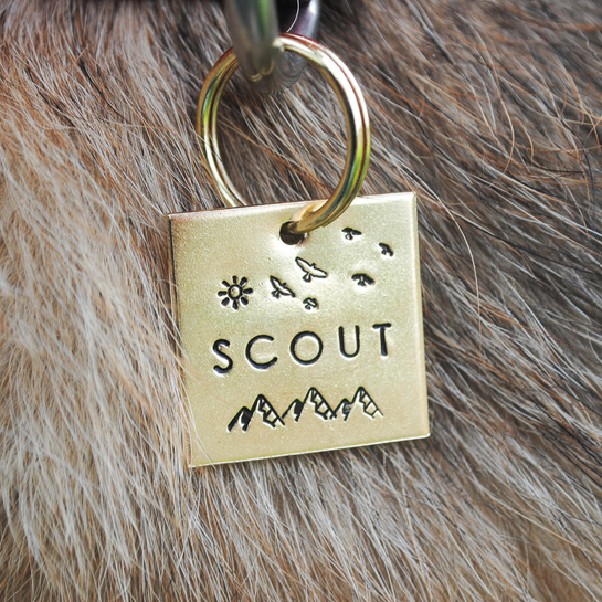 pet id tag, hand stamped dog tag, gold dog tag, custom cat tag, sun birds and mountains dog tag