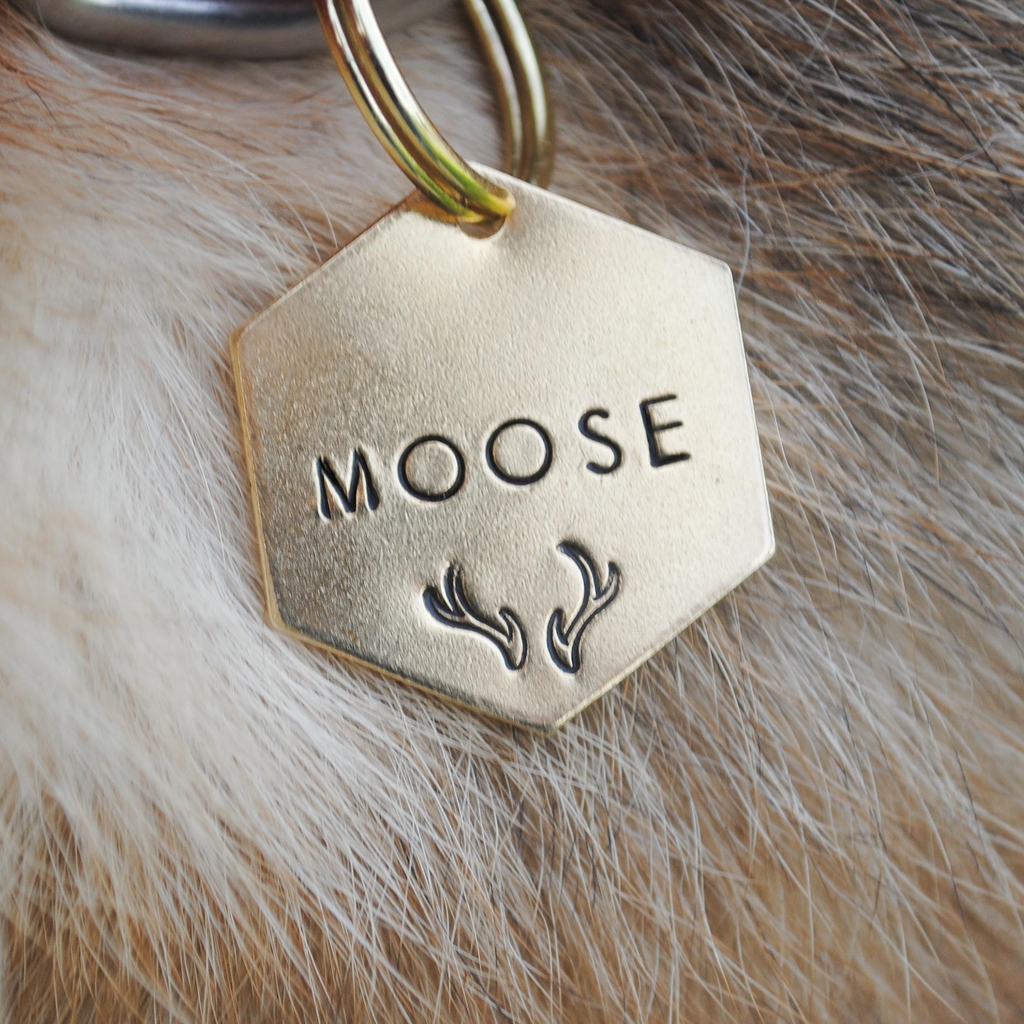 Personalized Dog Tag - Antlers Hand Stamped Dog Tag - Cat Tag - Dog ID Tag - Dog Collar Tag - Custom Dog Tag - Pet ID Tag - Metal Pet Tag - Pet Name Tag - Deer Tag - Moose Dog Tag - Antlers Dog Tag - Dog Gear - Dog Accessories - Pet Accessories