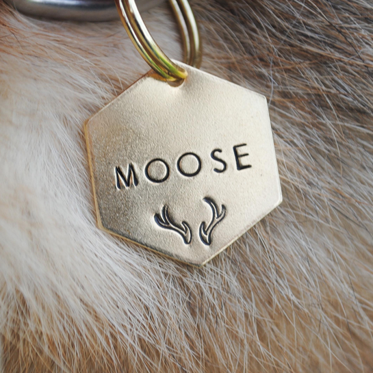 Custom BUFFALO BILLS Hand-Stamped Pet ID Tag