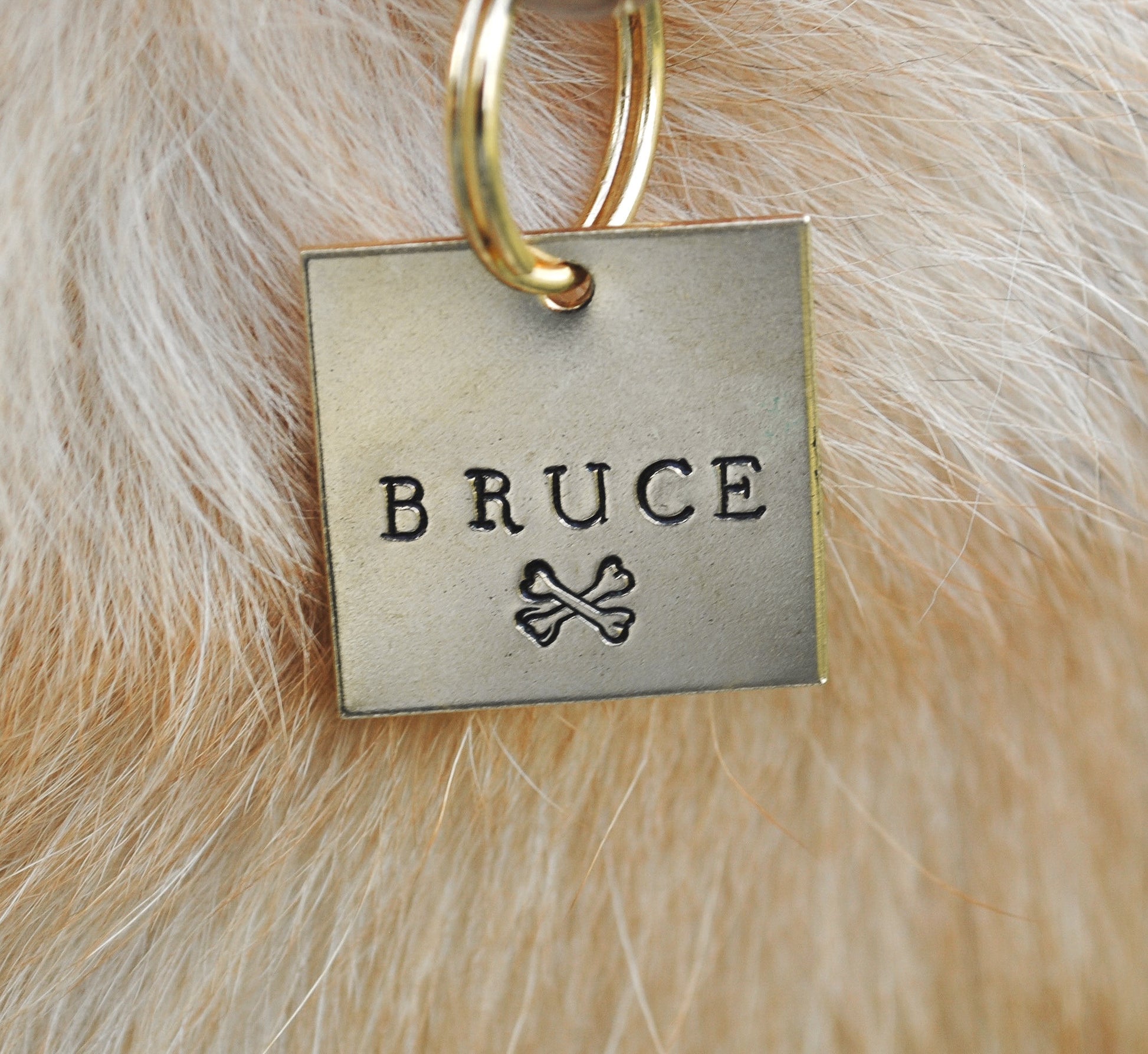 Personalized Dog Tag - Crossbones Hand Stamped Dog Tag - Personalized Pet ID - Dog Collar Tag - Custom Dog Tag - Pet ID Tag - Custom Cat Tag - Dog Lover Gift - Crossbones Dog Tag - Dog Gear - Dog Accessories - Pet Accessories