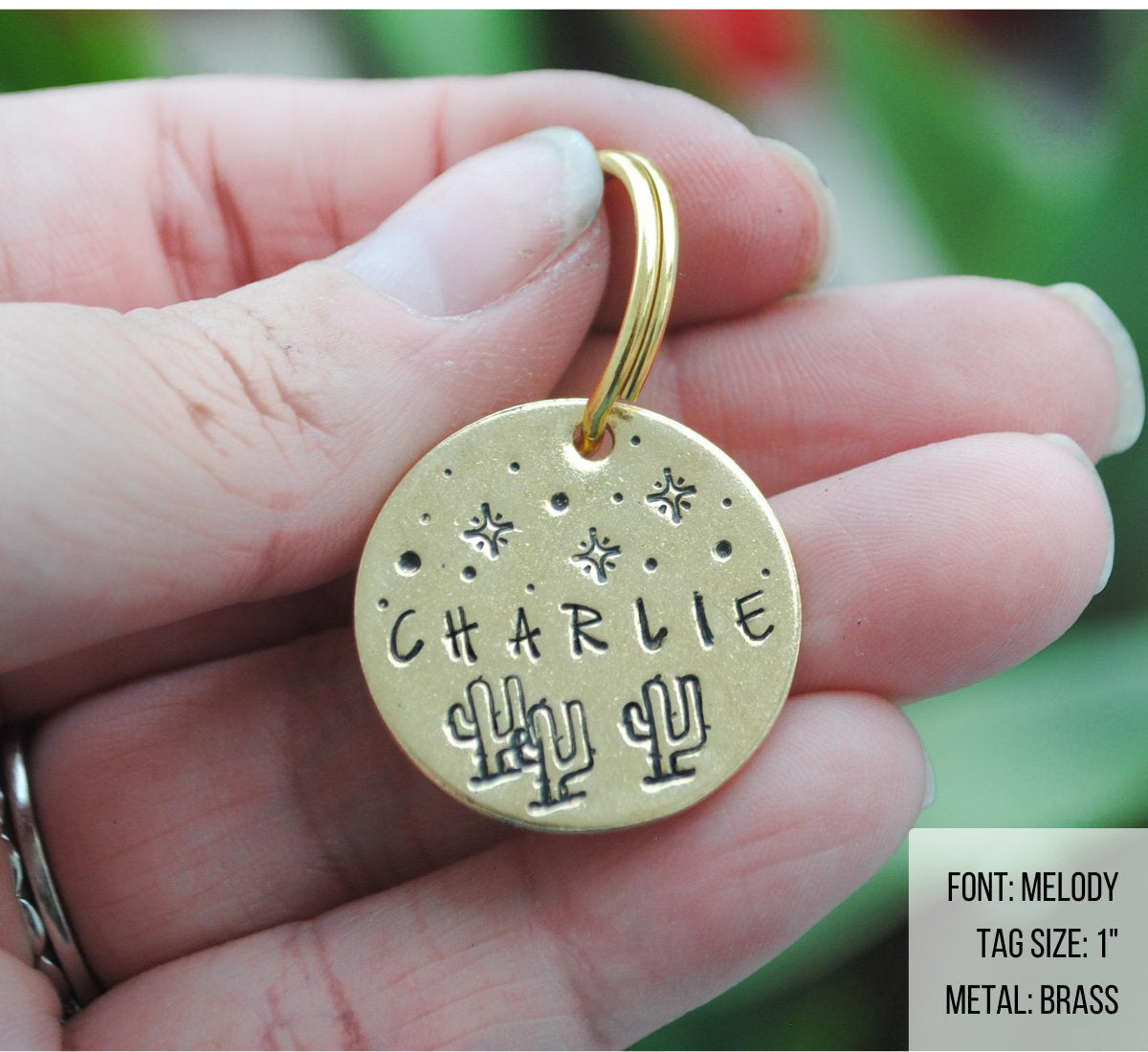 Personalized Dog Tag - Cactus and Stars Hand Stamped Dog Tag - Cat ID Tag - Dog Collar Tag - Custom Dog Tag - Pet ID Tag - Metal Pet Tag - Name Tag - Gift for Her - Cacti - Cactus Dog Tag - Dog Gear - Dog Accessories - Pet Accessories