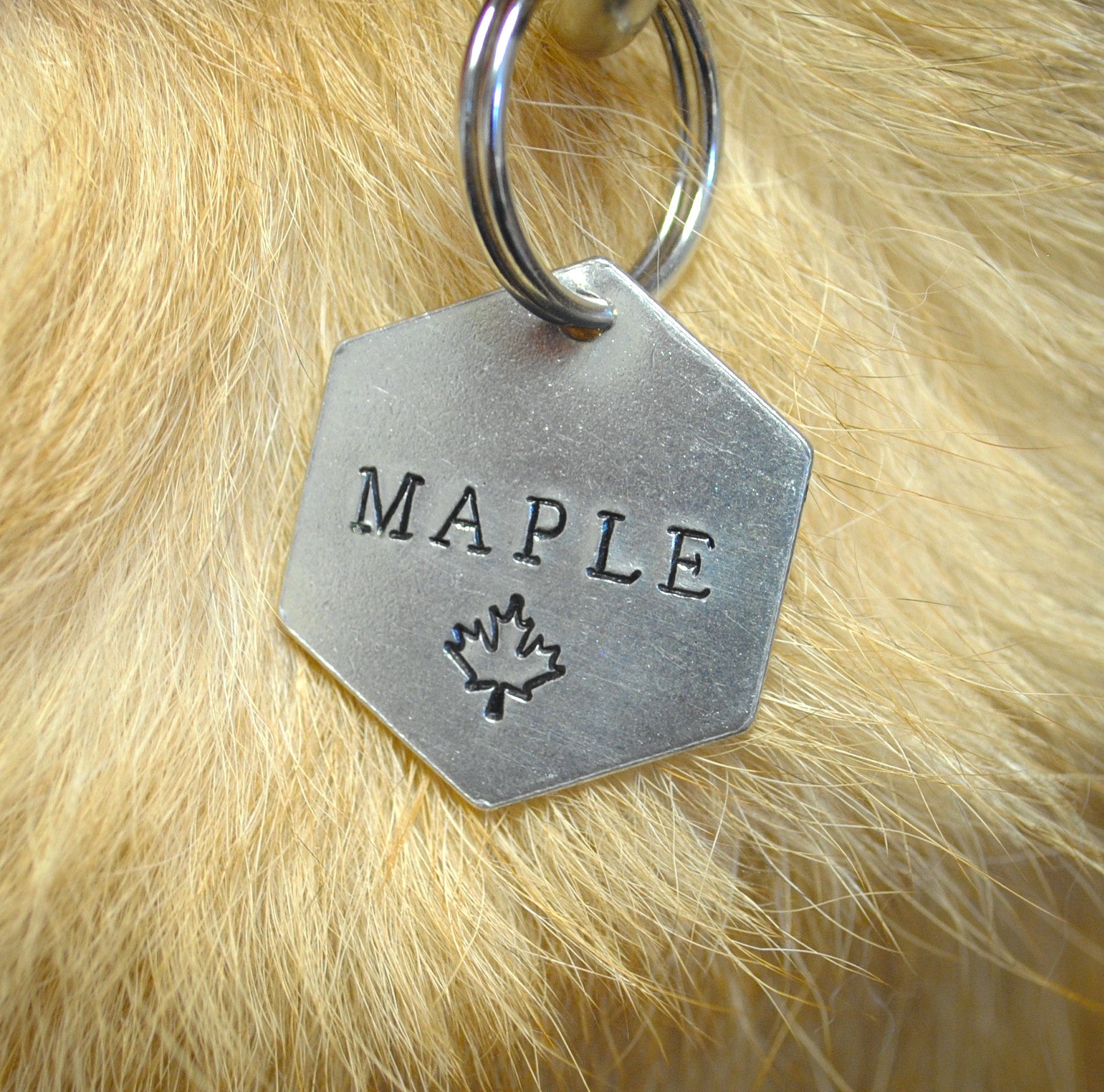 Personalized Dog Tag - Maple Leaf Design Engraved Dog Tag - Cat ID Tag - Dog Collar Tag - Custom Dog Tag - Pet ID Tag - Pet Name Tag - Maple Leaf Dog Tag - Nature Themed Dog Tag - Dog Gear - Dog Accessories - Pet Accessories - Canadian - Canada Day - Handmade Gift - Canadian Gift - Canadian Made - Dog Tag - New Puppy 