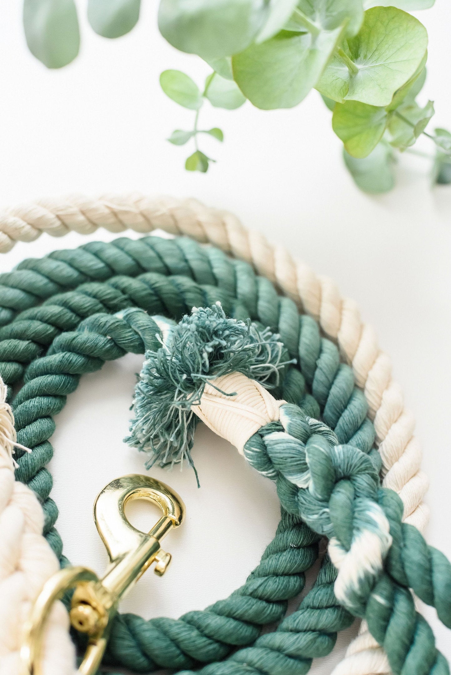 Ombré Green Cotton Rope Leash - Cute Leash - Dog Gift - Gift for Her - Pet Birthday Gift - Dog Accessory - Dog Lover Gift - Wedding Leash