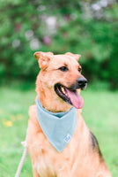 Corduroy Dog Bandana - Pet Accessory - Pastel Bandana - Snap Bandana - Dog Lover Gift - Dog Wedding Accessory - Stylish Dog Bandana
