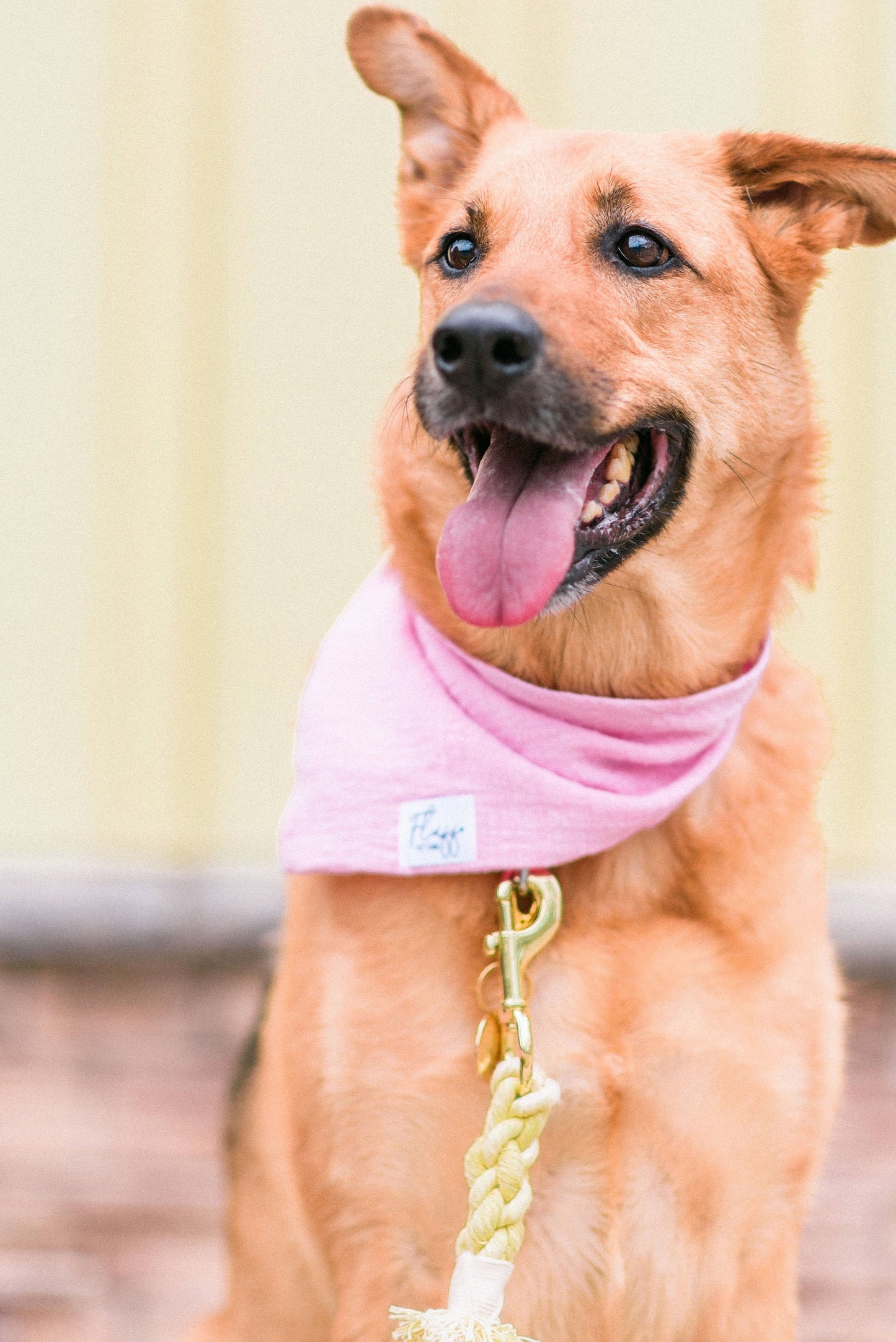 Linen Dog Bandana - Pet Accessory - Colourful Bandana - Snap Bandana - Dog Lover Gift - Dog Wedding Accessory - Stylish Dog Bandana