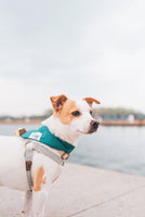 Cotton Dog Bandana - Pet Accessory - Colourful Bandana - Snap Bandana - Dog Lover Gift - Dog Wedding Accessory - Stylish Dog Bandana