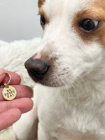 No Bones Day - Bones Day - Hand Stamped Dog Collar Charm - Dog Tag - Cat Collar Charm - Gift for Dog Lover - Gift for Cat Lover - Funny Gift