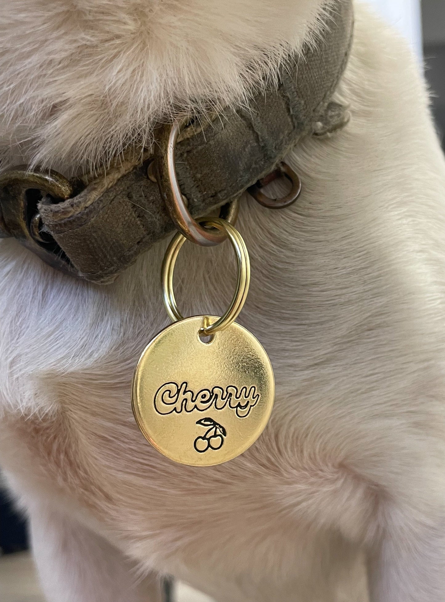 Personalized Dog Tag - Cherry Design Engraved Dog Tag - Cat ID Tag - Dog Collar Tag - Custom Dog Tag - Pet ID Tag - Pet Name Tag - Cherry Dog Tag - Dog Gear - Dog Accessories - Pet Accessories - Fruit Emoji