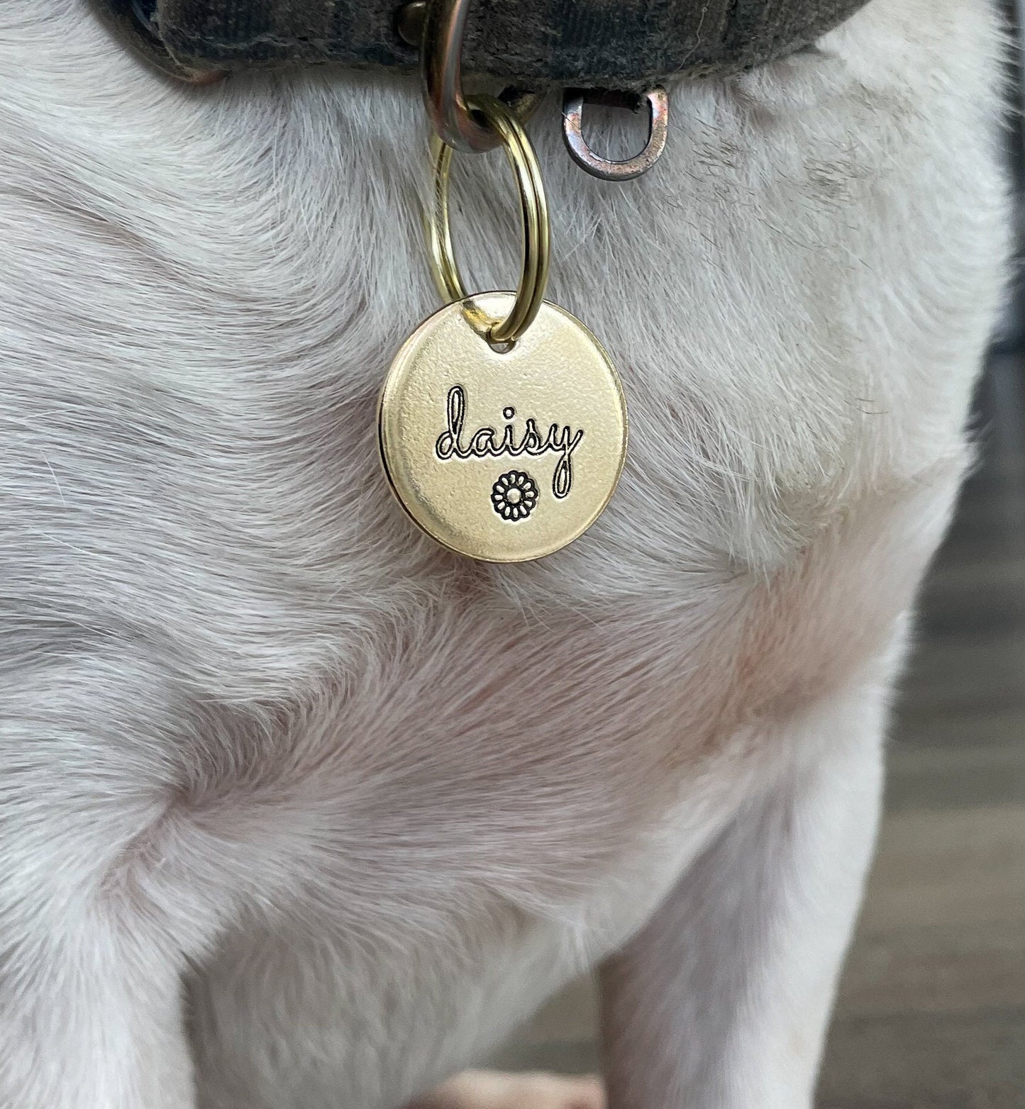 Personalized Dog Tag - Daisy Flower Design Engraved - Cat ID Tag - Dog Collar Tag - Custom Dog Tag - Personalized Tag - Pet ID Tag - Daisy Dog Tag - Dog Gear - Dog Accessories - Pet Accessories - Daisy Flower - Flowers - Nature Themed