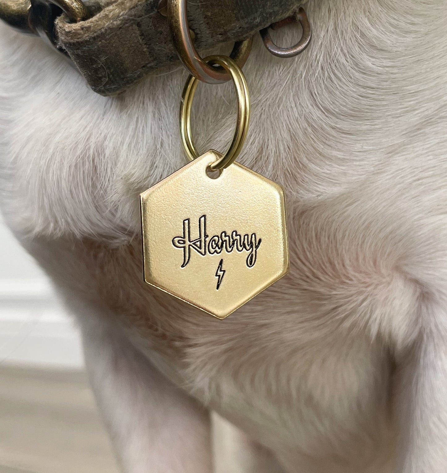Lightning Bolt Design Engraved Dog Tag - Cat ID Tag - Dog Collar Tag - Custom Tag - Personalized Tag - Pet ID Tag - Pet Name Tag - Harry Tag
