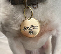 Seashell Design Engraved Dog Tag - Cat ID Tag - Dog Collar Tag - Custom Dog Tag - Personalized Tag - Pet ID Tag - Pet Name Tag - Malibu Tag       Pet name on front with a seashell design. Your phone number will be on the back.